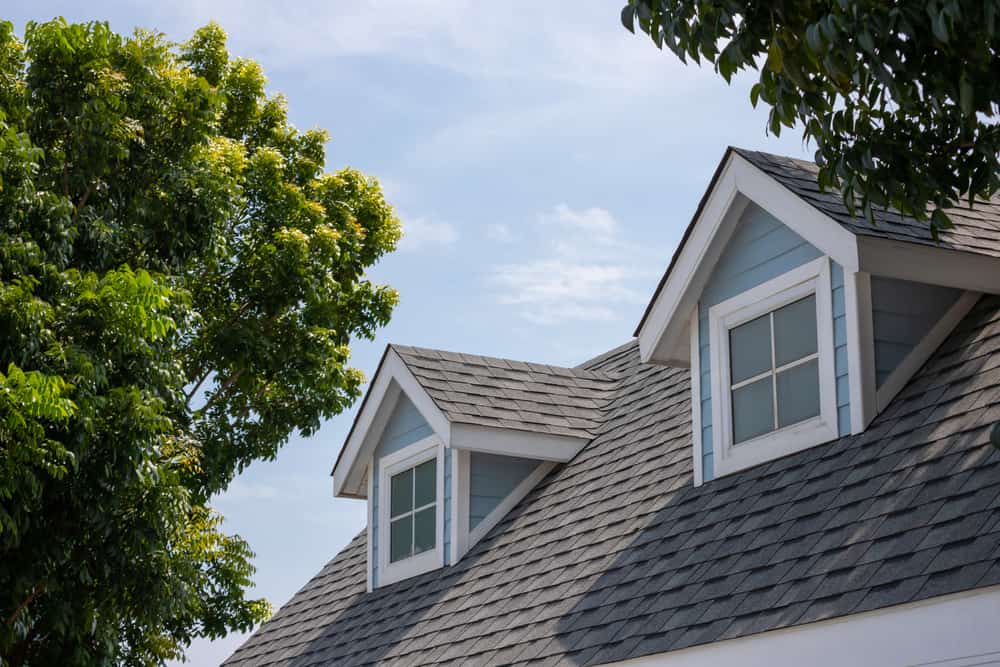 Roof shingles